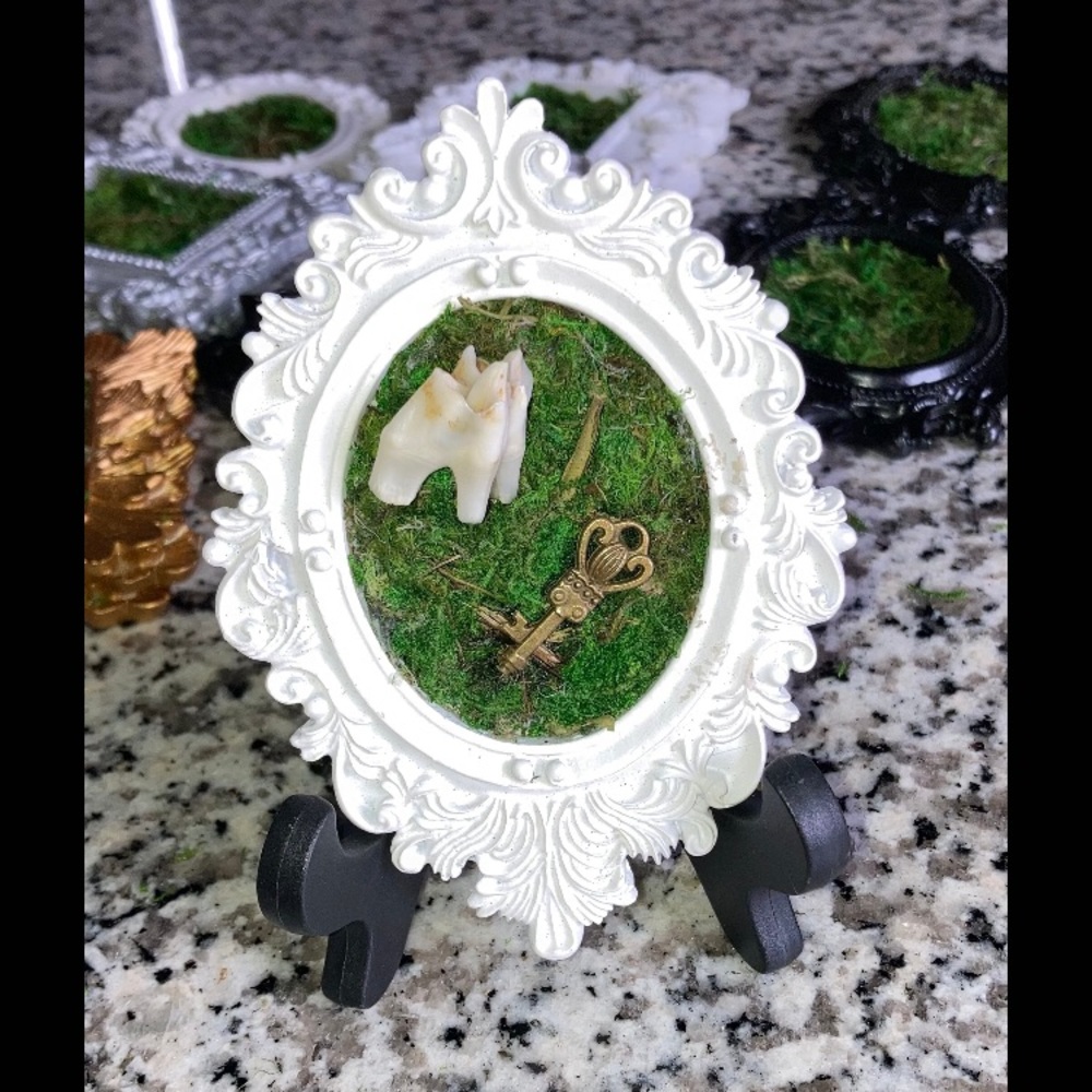Mini photo frames with animal Teeth